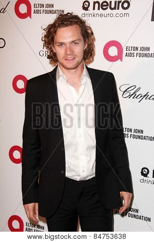 LOS ANGELES - FEB 22:  Finn Jones at the Elton John Oscar Party 2015 at the City Of West Hollywood Park on February 22, 2015 in West Hollywood, CA