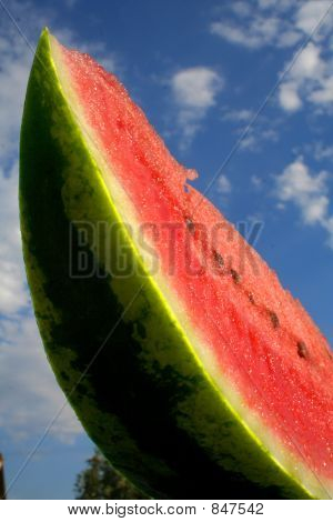 rebanadas de sandía con semillas de la parte inferior vertical