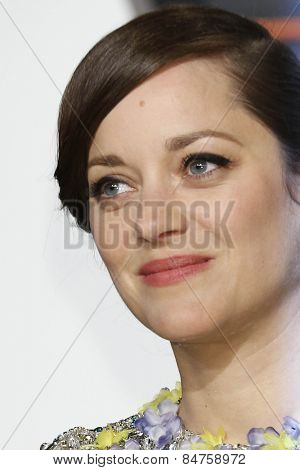 LOS ANGELES - FEB 22:  Marion Cotillard at the Vanity Fair Oscar Party 2015 at the Wallis Annenberg Center for the Performing Arts on February 22, 2015 in Beverly Hills, CA