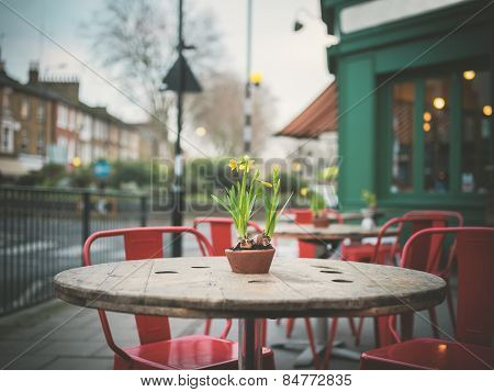 Lillies On A Table Outside Cafe In Winter