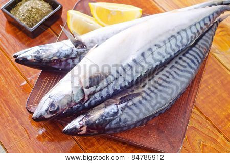 raw fish