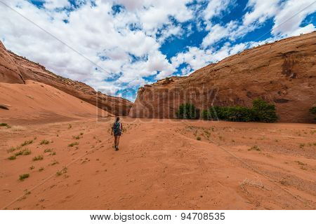 Hiker Backpacker Brimstone Gulch Dry Fork Narrows Of Coyote