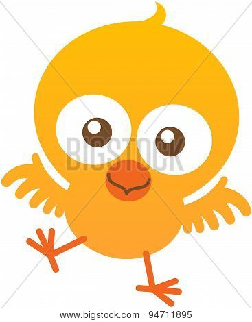 Cute baby chicken flapping and smiling enthusiastically