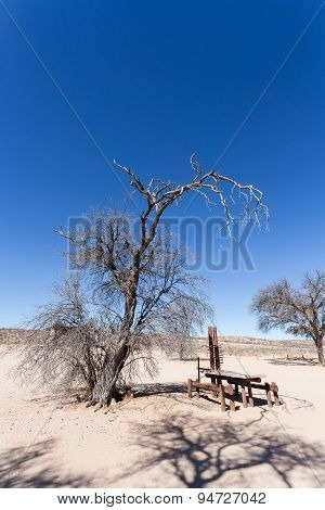 Stopover Rest Place In Kgalagadi Transfontier Park