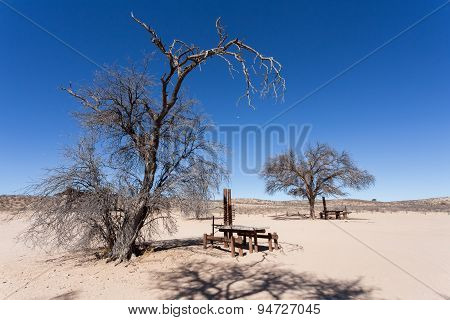 Stopover Rest Place In Kgalagadi Transfontier Park