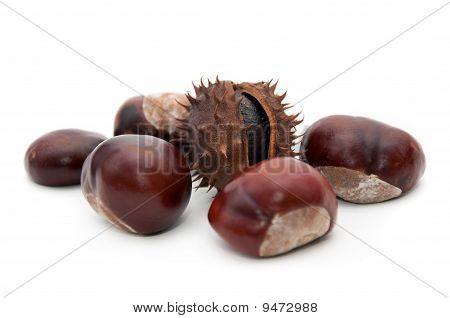 Conker