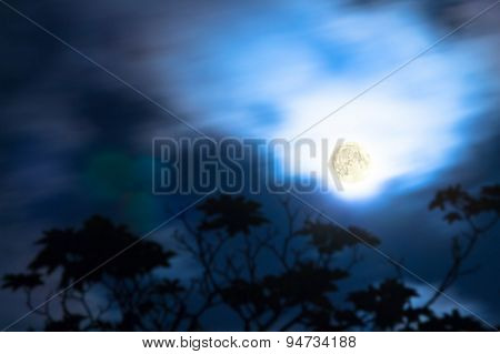 Moon with silhouette of a tree on a cloudy skies.