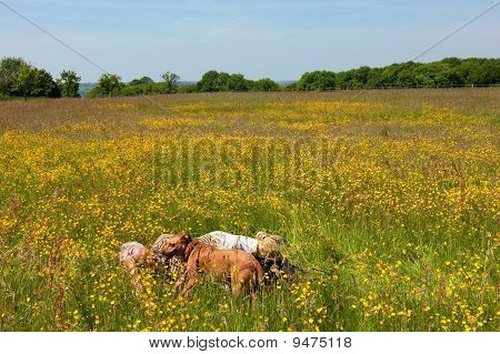 Adam köpeğini ile dinlenme