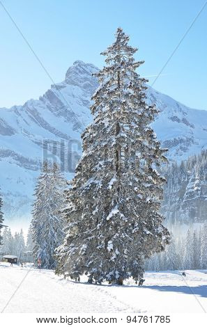 Braunwald, Switzerland