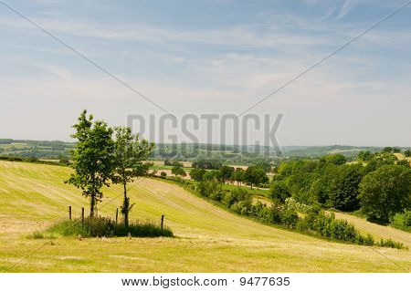 Hills yeşil manzara