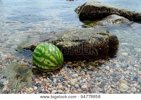 Water-melon In The Sea