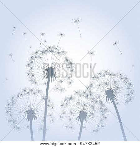 Dandelions And Wind.