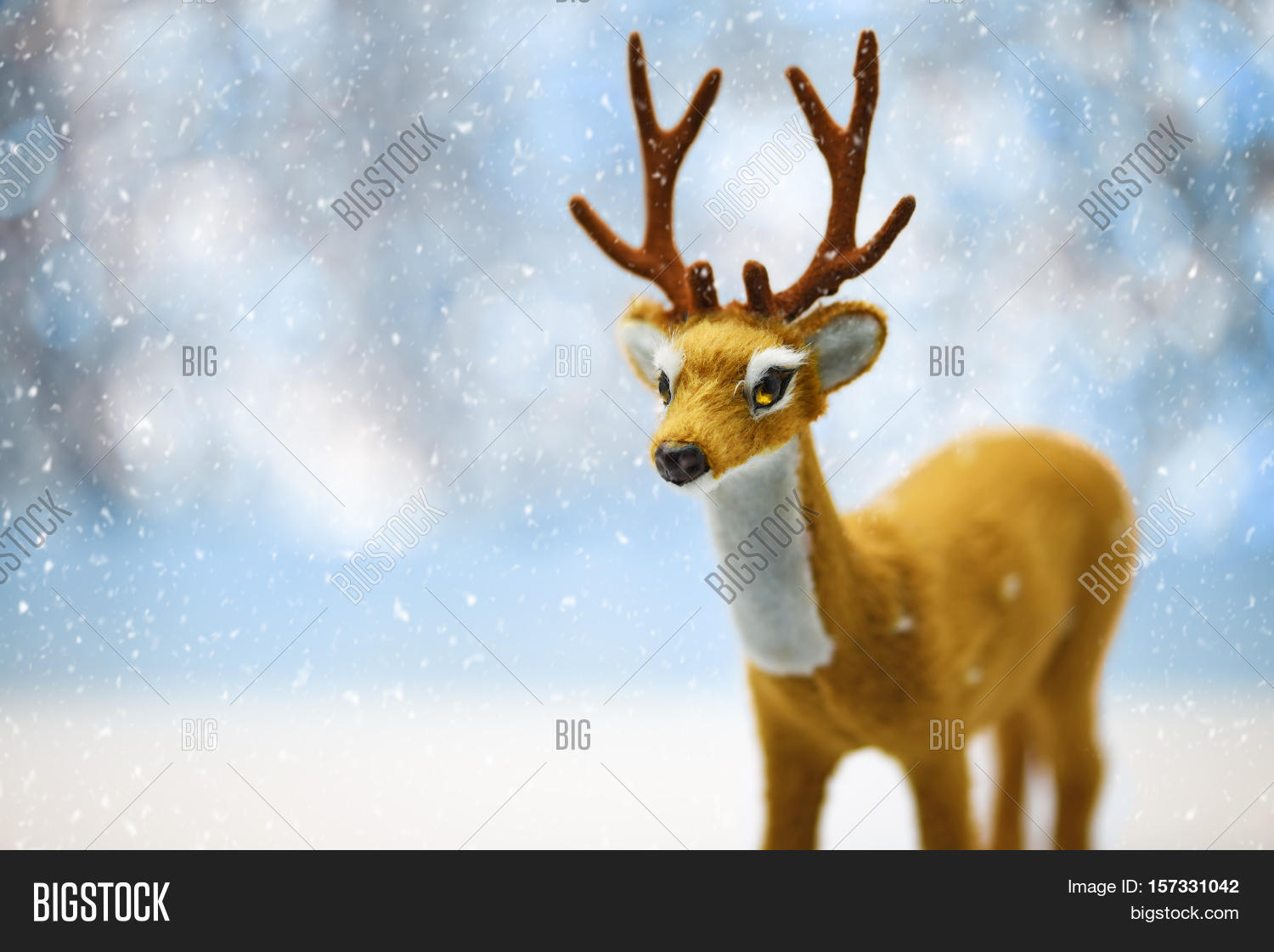 Cute Young Reindeer Image & Photo (Free Trial) | Bigstock