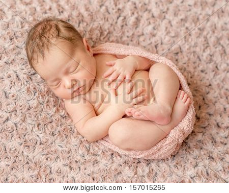 lovely newborn curled up asleep, wrapped in pink diaper on knitted blanket