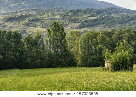 Sentiero della Valtellina bicycle path along the Adda river iat summer