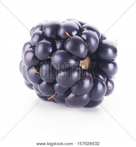Single fresh black berry isolated on white background