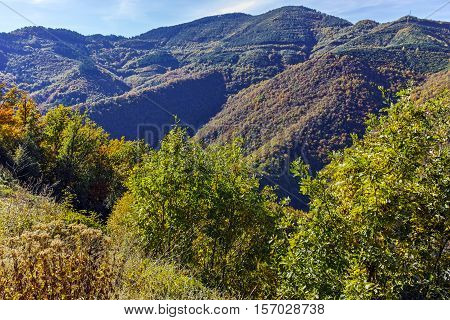 Autumn Panorama of Tsankov kamak Reservoir, Smolyan Region, Bulgaria