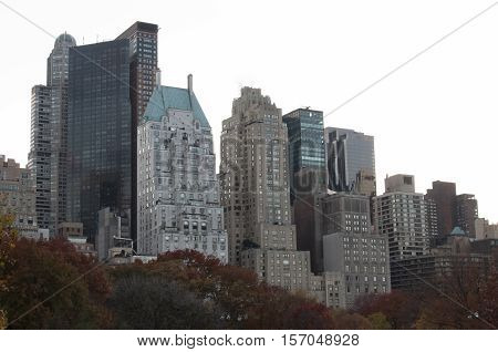 Autumn Colored Trees With Buildings Behind