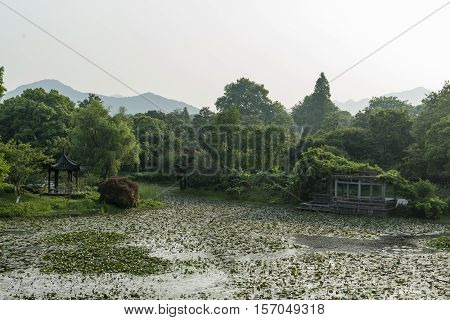 Public Park With Pond And Garden In Hangzhou, China