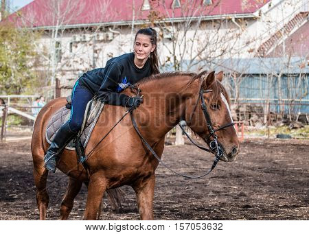Young beautiful brunette girl rides a horse bareback with hackamore. Warm and sunny autumn day. Portrait of a pretty young woman on the horse, wearing tall boots and gloves.