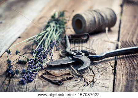 Closeup Of Aromatic Lavender On Old Wooden Table