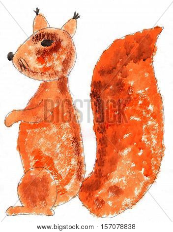 Red squirrel in profile on a white background. Drawing on paper