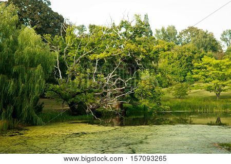 small lake in a Beautiful Gisselfeld park, denmark