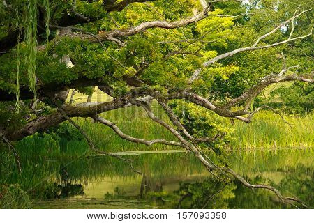 Beautiful Gisselfeld Park