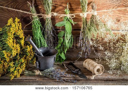 Aromatic Herbs For Tincture As Alternative Medicine