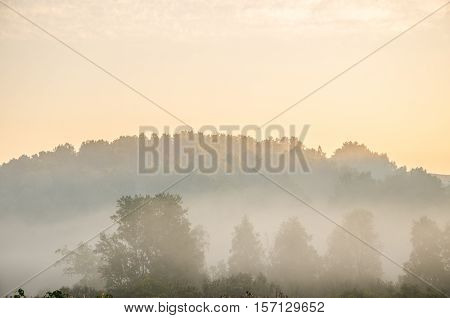 thick morning fog in the summer forest. thick morning fog in the forest at pond. Morning landscape in summer thick fog. dense fog in the morning.  early morning. forest hiding in the fog. forest path