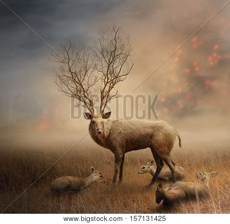 Deer family on fire and smoke background
