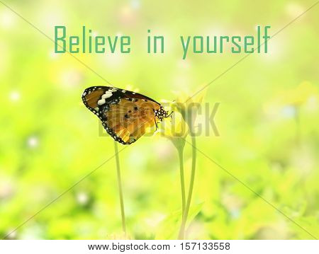 Believe in yourself - motivational quote beautiful butterfly absorb some sweet from flowers in sunny day