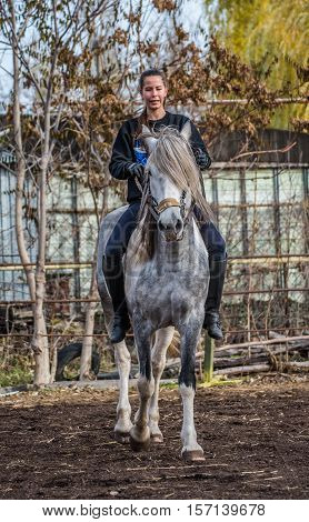 Young beautiful brunette girl rides a horse bareback with hackamore. Warm and sunny autumn day. Portrait of a pretty young woman on the horse, wearing tall boots and gloves.