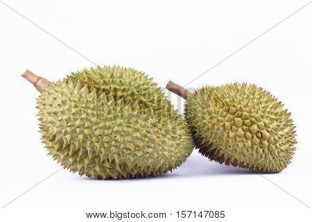 yellow durian  mon thong is king of fruits durian on white background healthy durian fruit food isolated
