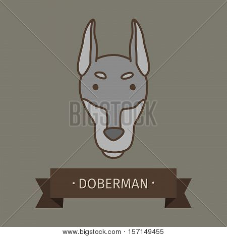 Doberman breed dog for logo design. Vector colored hand drawn dog head