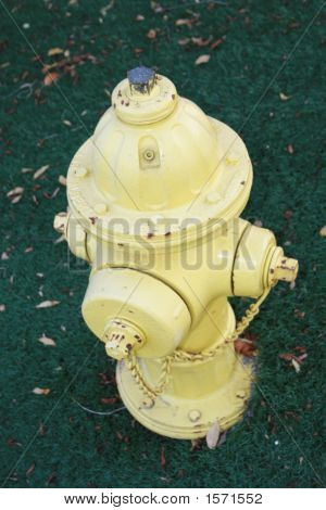 Hydrant