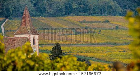 Hunawihr, Alsace Vineyard, France