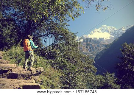 woman backpacker trekking at the himalaya mountains