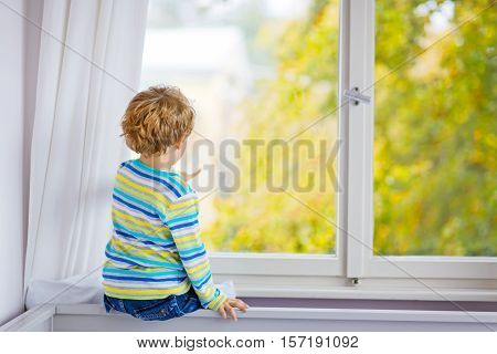 Adorable little blond kid boy sitting near window and looking on raindrops and autumn yellow landscape and trees, indoors. Happy funny child in colorful clothes.