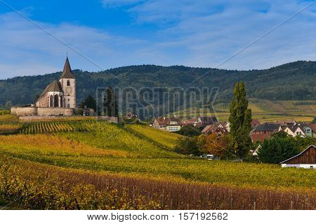 Hunawihr, Alsace Vineyard, France