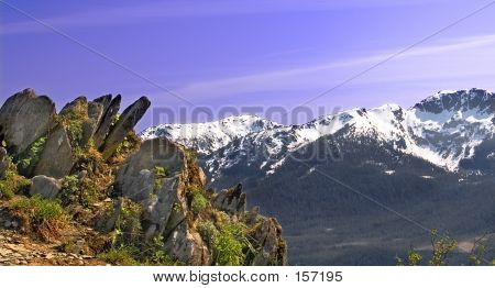 Outcrop On Mt. Roberts
