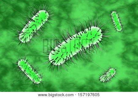 Escherichia coli bacterium, 3D illustration. Gram-negative bacterium with peritrichous flagella which is part of normal intestinal microflora and also causes enteric and other infections