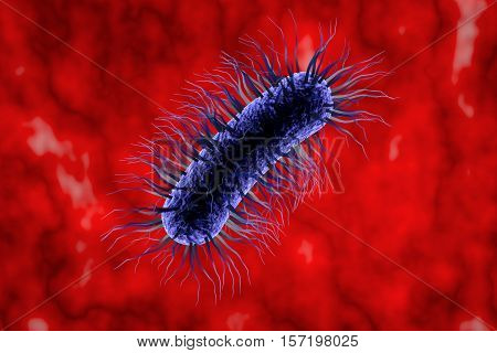 Escherichia coli bacterium, 3D illustration. Gram-negative bacterium with peritrichous flagella which is part of normal intestinal microflora and also causes enteric and other infections