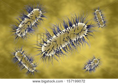 Escherichia coli bacterium, 3D illustration. Gram-negative bacterium with peritrichous flagella which is part of normal intestinal microflora and also causes enteric and other infections