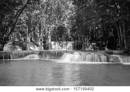 Black and White, Deep forest blue stram waterfall