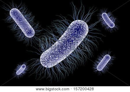 Escherichia coli bacterium, 3D illustration. Gram-negative bacterium with peritrichous flagella which is part of normal intestinal microflora and also causes enteric and other infections