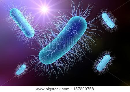 Escherichia coli bacterium, 3D illustration. Gram-negative bacterium with peritrichous flagella which is part of normal intestinal microflora and also causes enteric and other infections