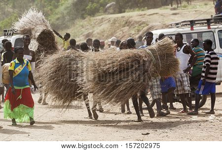 People Carry Twigs At Village Market. Bonata. Omo Valley. Ethiopia.