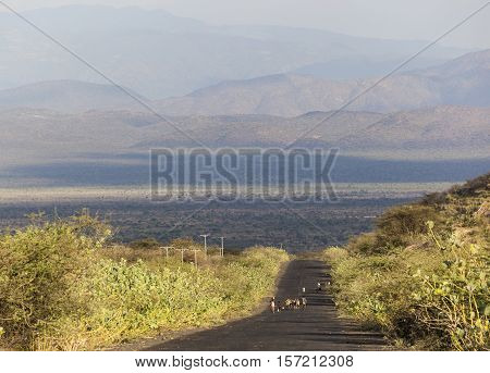 Herders On Highway In The Evening. Omo Valley. Ethiopia