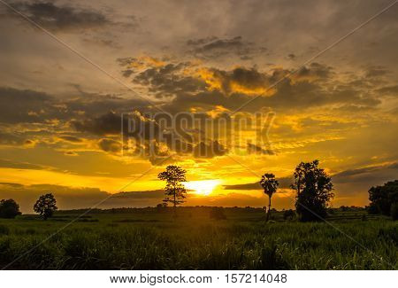 Beautiful golden sky background in countryside of thailand